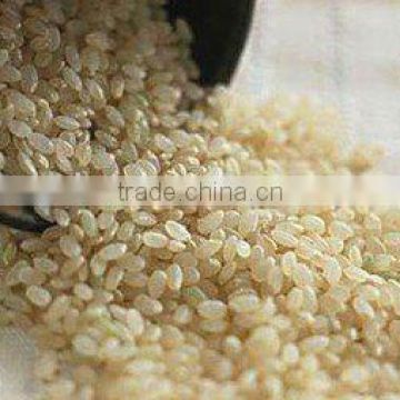 rice bran basic oil(bulk)