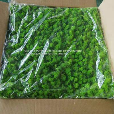 2021 Hot Sell artificial moss grass wall for decoration