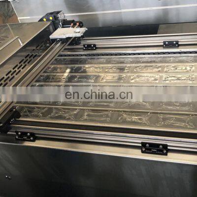 Automatic Sausage Cheese Dates Meat Fish Thermoforming Vacuum Packaging Machine photo-4