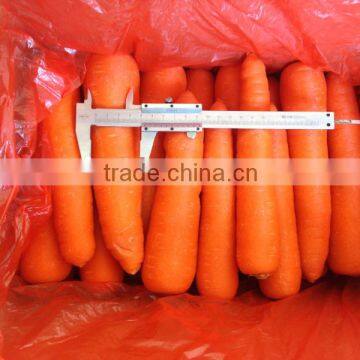 Fresh Clean Carrot,customize carrot,China fresh carrot