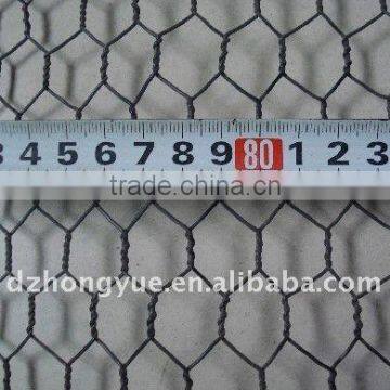 tree guard hexagonal wire mesh