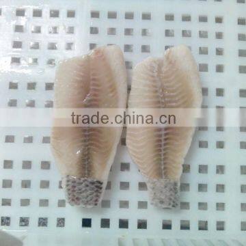 Frozen Tilapia Fillet