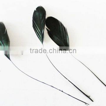 Good quality rooster feather,stripped coque feather