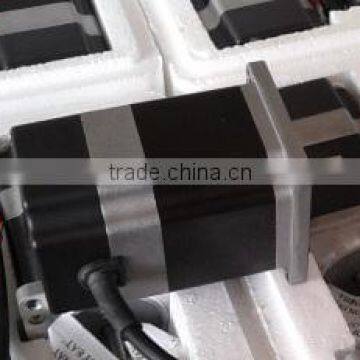 Low speed synchronous motor without gear head