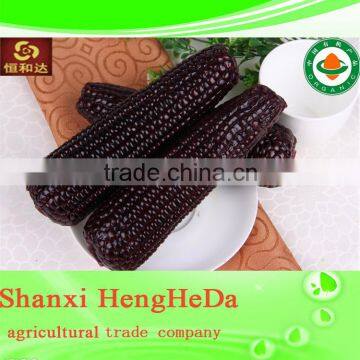 China Online Shopping With Certification Yellow Maize photo-5