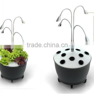 Dutch Hdroponics system with LED Grow Lights For Sale LED Lamp