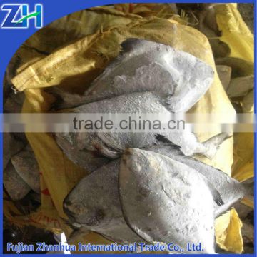 Frozen black chinese pomfret for sale