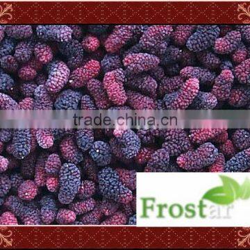 IQF frozen mulberries