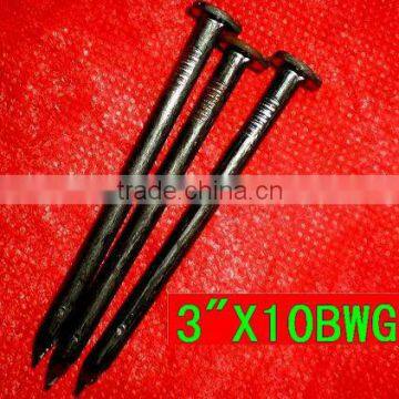 common iron nail