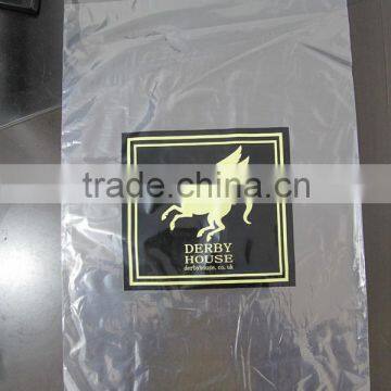 Clear LDPE Self Adhesive Bag