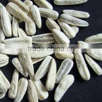 Chinese Roasted salted sunflower seeds with best price