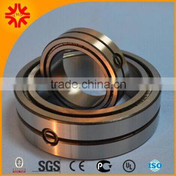 Double Row Full Complement Cylindrical Roller Bearing SL014934