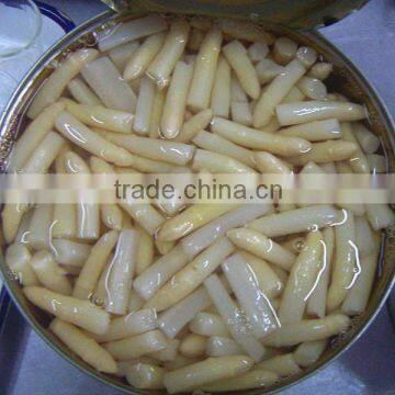 great quality canned white asparagus with competitive price