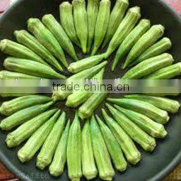 Frozen Okra IQF okra