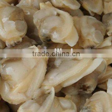 High Quality Short Neck Clam Meat Low Price