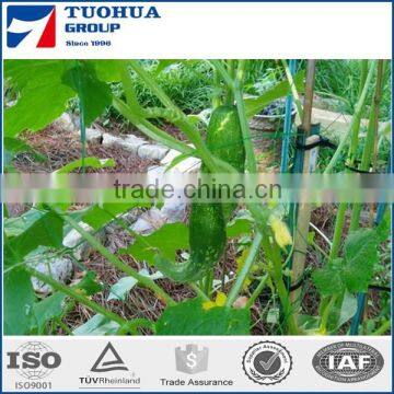 Brand New Plant Climbing Support Netting with Low Price