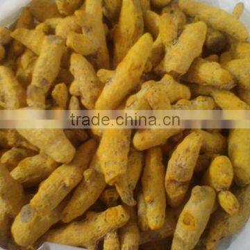 Excellent Grade & Quality Indian Turmeric Finger photo-6
