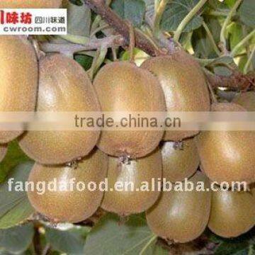 high quality kiwi fruits from china