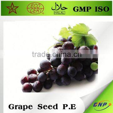 grape seed supplier