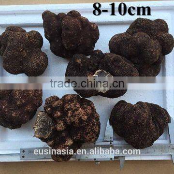 2015 crop bigger size fresh truffle