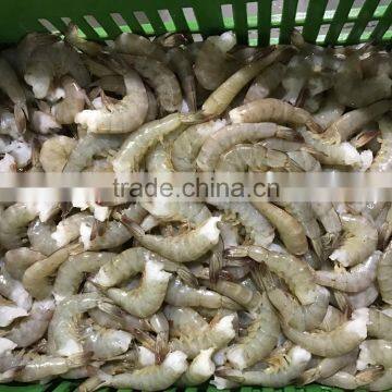 Frozen shrimp hlso dried vannamei shrimp wholesale