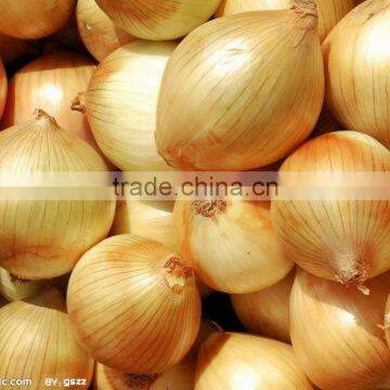 FX-128-3A High Efficiency Hot Sale Onion Peeling Peeler Machine photo-5