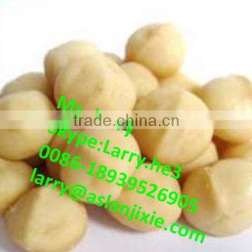 Bauple Nut Opener Machine/bauple Nut Opening Machine/bauple Nut Opener photo-6