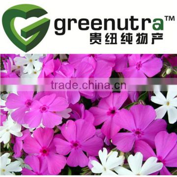 Vinca Rosea Extract