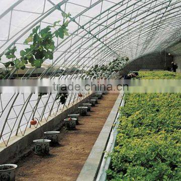 Agriculture Solar greenhouse structure and profile