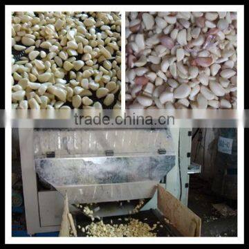 Belt Type CCD Color Sorter Machine for Fresh Garlic 0086 371 65866393