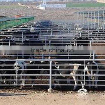 hot dipped galvanized steel horse gate and cattle panels