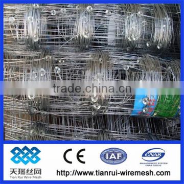 field mesh/cattle mesh/field fence