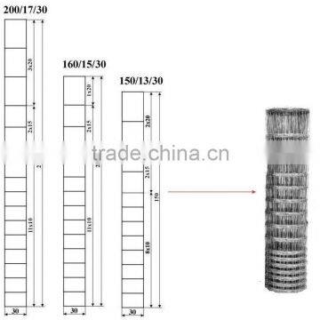 Hot Dipped Galvanized Grassland Fence(SGS Factory)