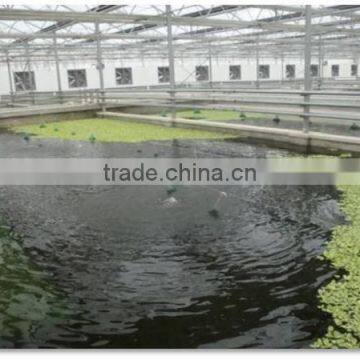 Agriculture Used Commercial Aquaculture Greenhouse photo-2