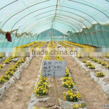 UV protect manufacture greenhouse plastic film for fruits vegetables flowers