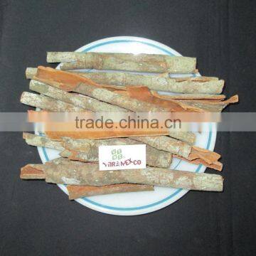 Vietnam cinnamon stick