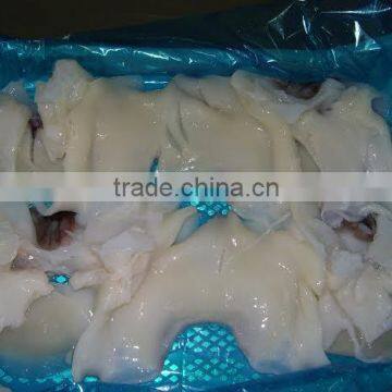 Frozen Giant Squid Raw Necks photo-2