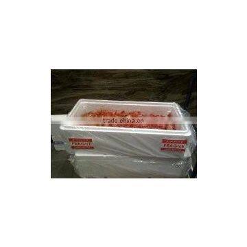 Live Spot Prawn photo-4