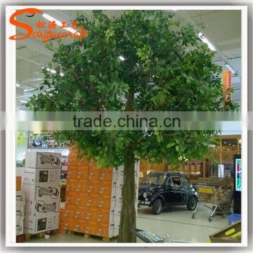 Latest Fiber Glass Artificial Banyan Tree Manufacture of Wedding Table Tree Branches for Centerpieces photo-2