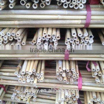 24~26MM 240CM Tonkin Bamboo Stakes For Orchard photo-2