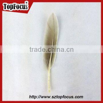 50pcs Home Decorative Dyed Natural Grey Dyed Goose Feathers Sale