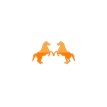 China Anping Dual-Horse Animal by products Factory
