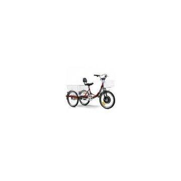 E-Wheels EW-88 450 Watt Electric Trike Bicycle Bike w/ Storage