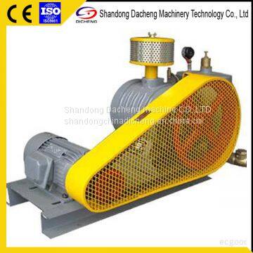 DSR100 Good Quality Roots Blower for Vacuum Impregnation photo-2