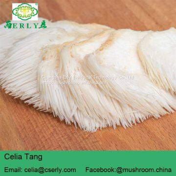 Mushroom Professional Manufacturer Supply Lions Mane Mushroom photo-4
