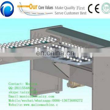 5 Grade Automatic Egg Grading Packing Machine , Egg Weight Grading Machine photo-3