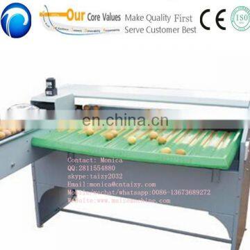 5 grade automatic egg grading packing machine , egg weight grading machine