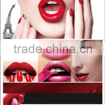 Waterproof lipstick brands plastic lipstick cover lipstick casing