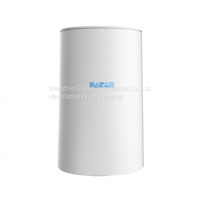 Mesh WiFi Router