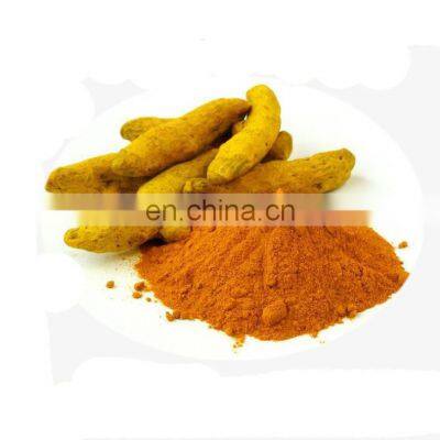 Extract 95% Curcumin Powder